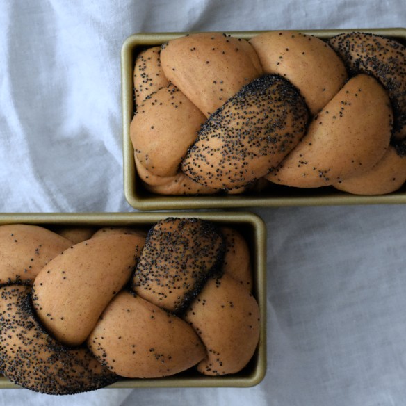 two mini brioche loaves poppy seed cinnamon bread bao braided mahali co bakery 1